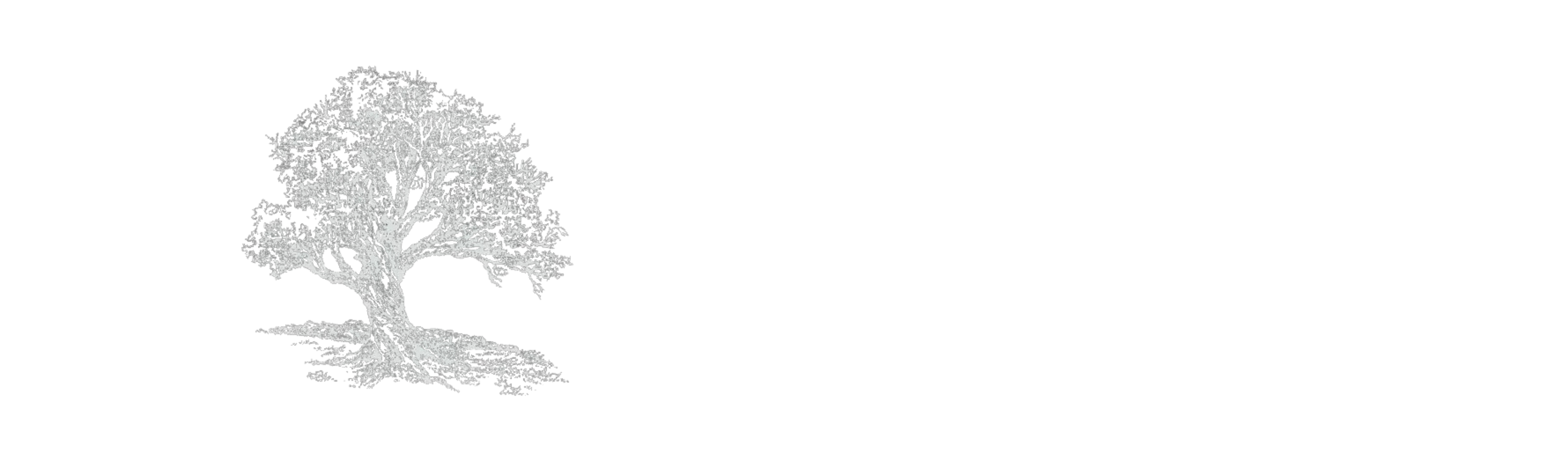 Customer 4 Logo
