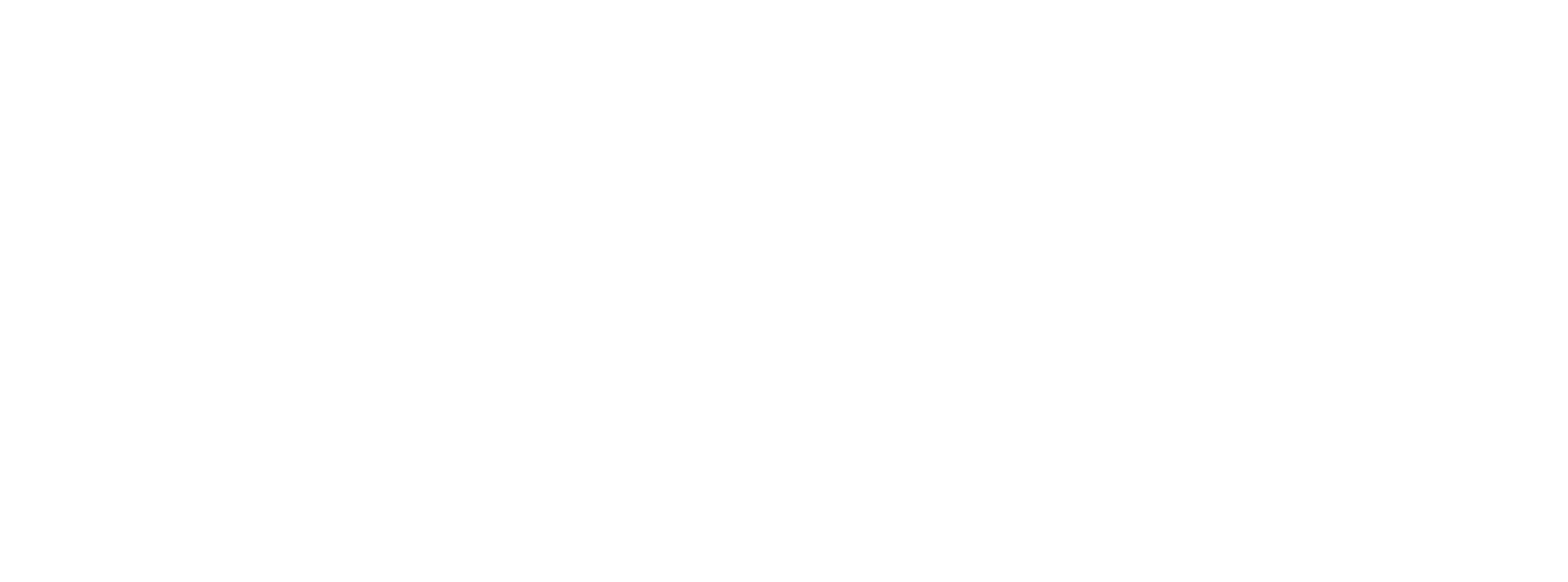 Customer 9 Logo